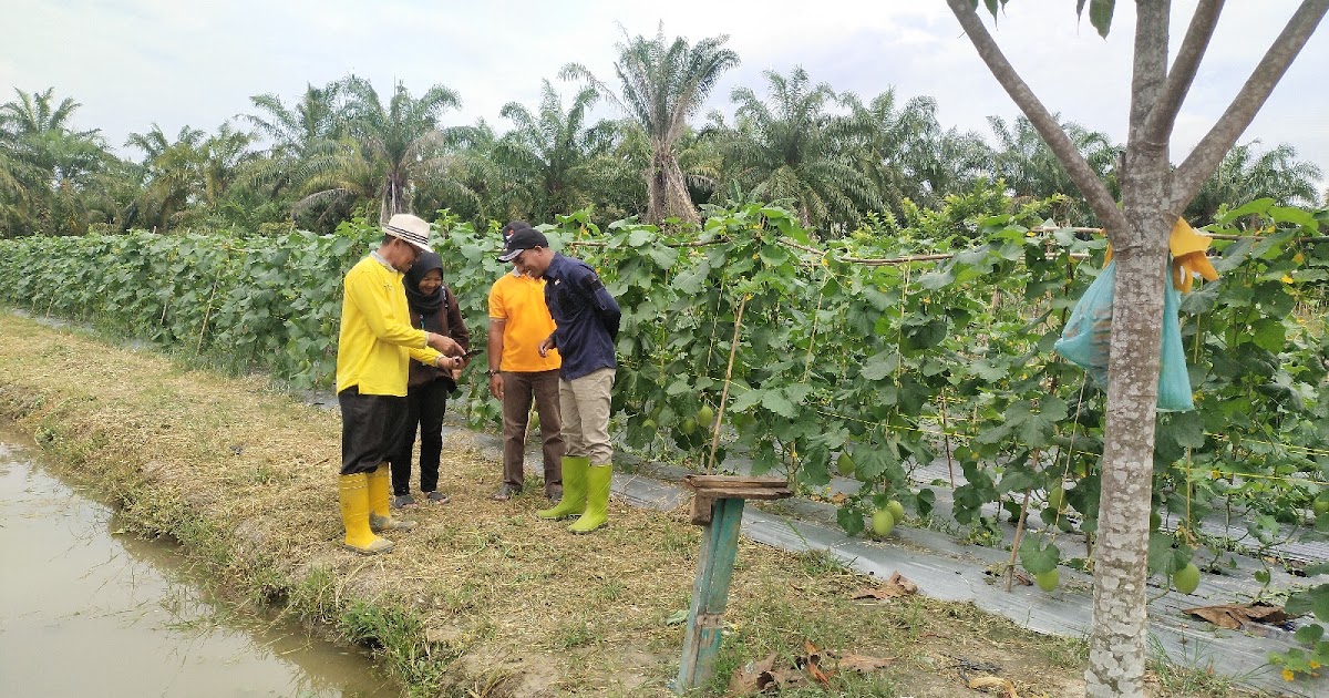 Pengadaan Barang Jasa 2026: Rahasia PBJ yang Dijemput ke OPD